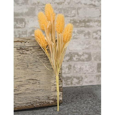 Amber Waves Bush - The Fox Decor